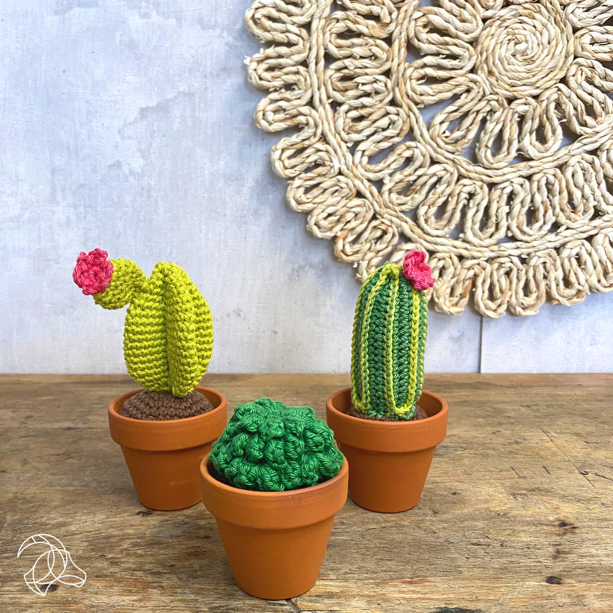 succulent crochet kit Hardicraft Crochet Kit Cacti