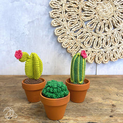 Hardicraft-DIY Crochet Kit - Cacti-knitting / crochet kit-gather here online