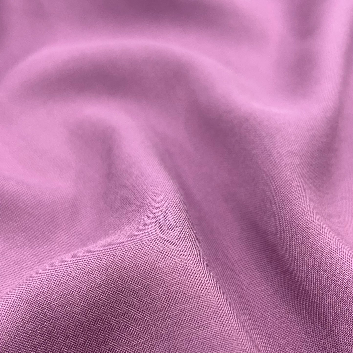 Shelly Challis - Mauve