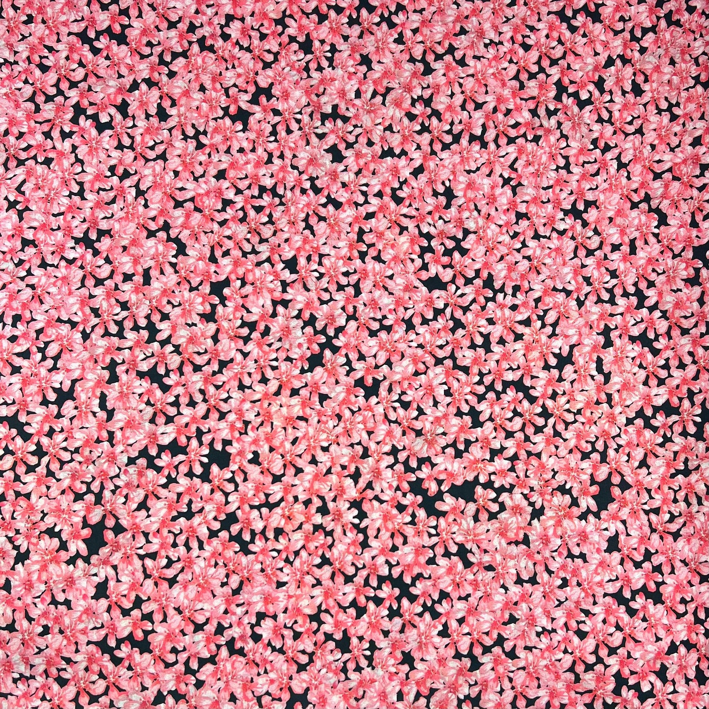 Lady McElroy-Pretty in Pink Cotton Poplin-fabric-gather here online