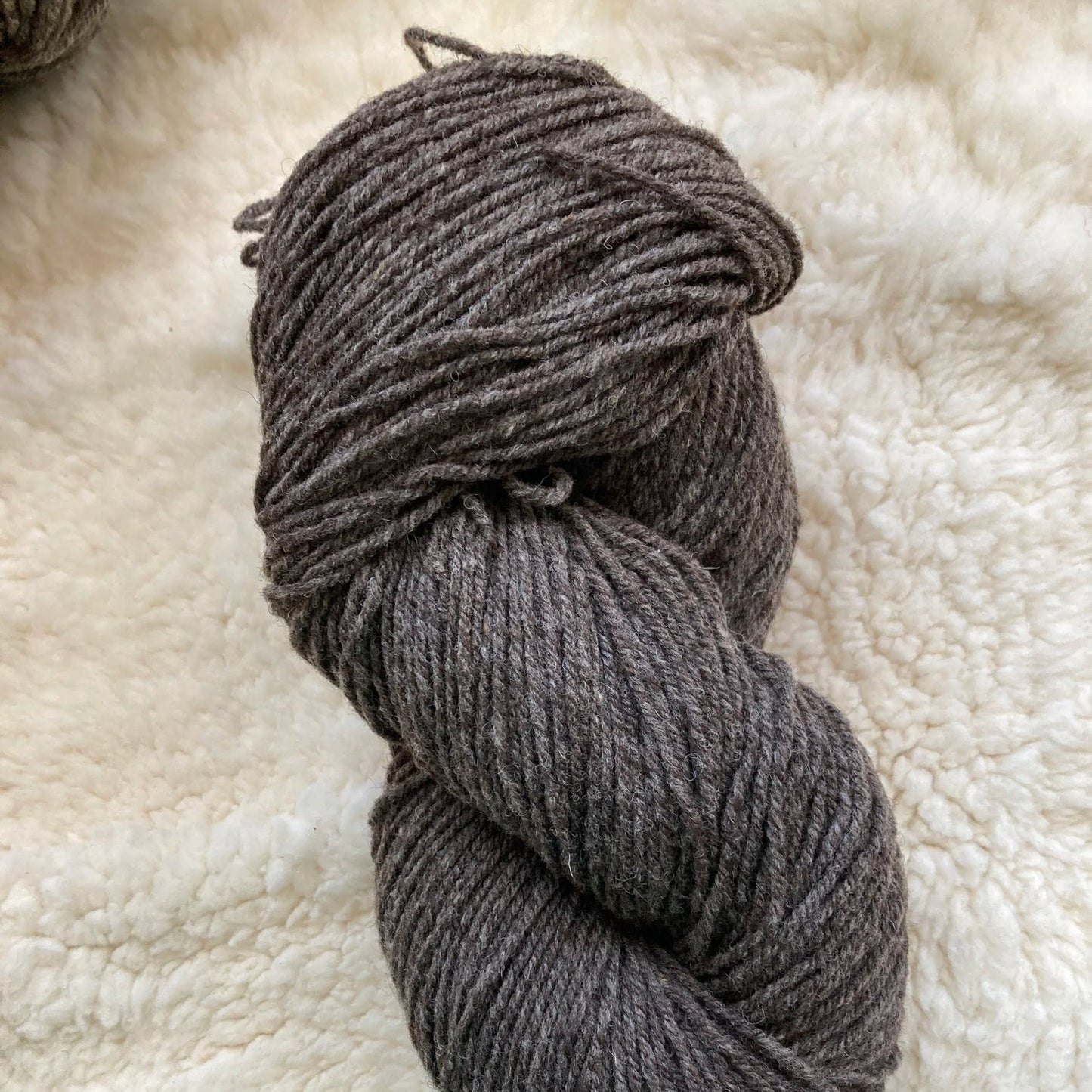 Jill Draper-Amalgam-yarn-Amalgam 4 (24% Targhee 76% Welsh Mountain Black)-gather here online