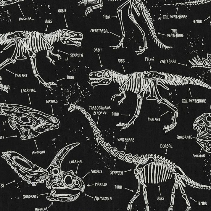 Glow Dinosaur Skeletons Black