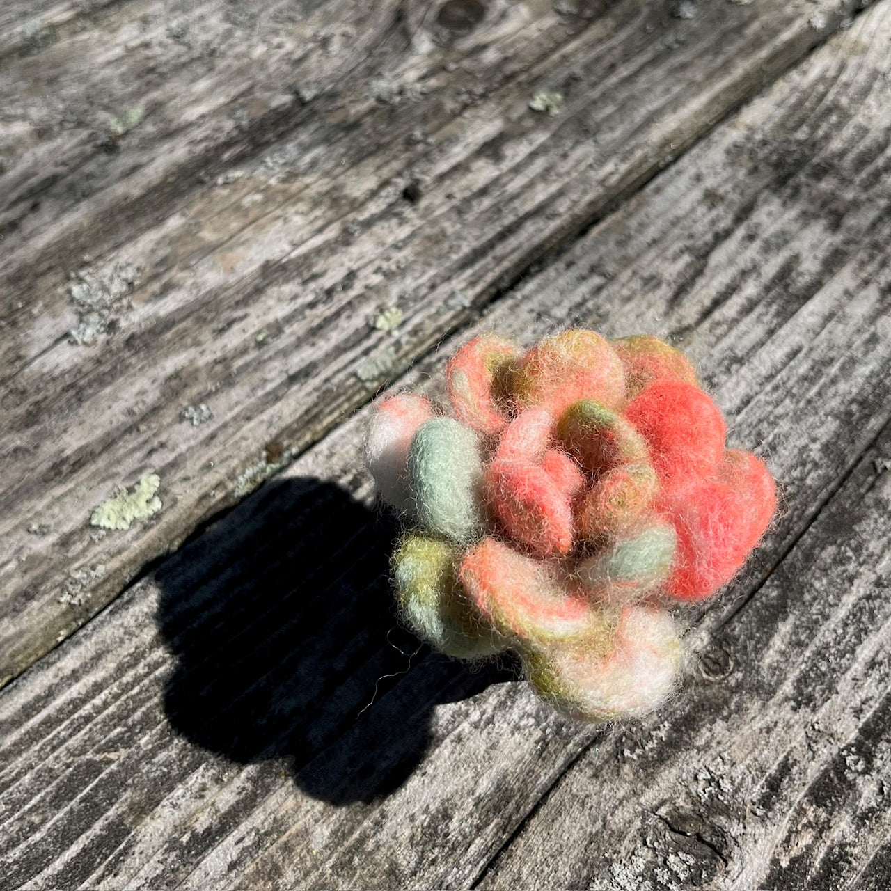 gather here classes-Needle Felted Succulent-class-gather here online