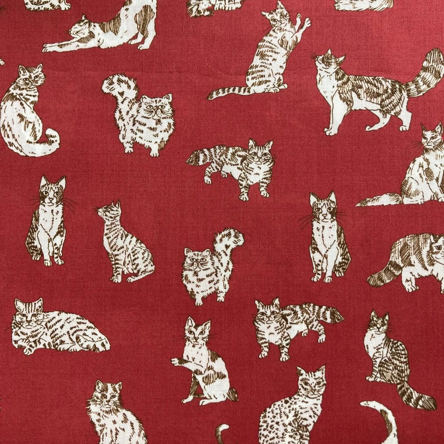 Liberty of London-Tana Lawn - Meow B-fabric-gather here online