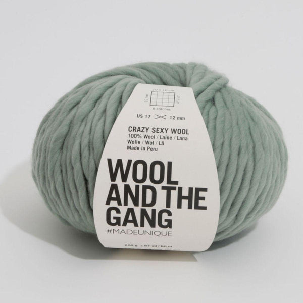 Crazy Sexy Wool - super bulky yarn - Wool and the Gang – gather