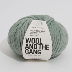Wool and the Gang-Crazy Sexy Wool-yarn-Eucalyptus Green-gather here online
