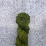 Dirtywater Dyeworks-Lillian-yarn-108 Ribbit-gather here online
