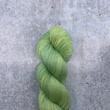 Dirtywater Dyeworks-Lillian-yarn-198 Minty Mist-gather here online