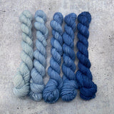 Dirtywater Dyeworks-Mini Lillian Plus Gradient Bundles-yarn-363- Drizzle-gather here online