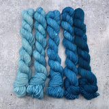Dirtywater Dyeworks-Mini Lillian Plus Gradient Bundles-yarn-420-Sea Breeze-gather here online