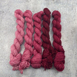 Dirtywater Dyeworks-Mini Lillian Plus Gradient Bundles-yarn-421-Syrah-gather here online