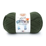 Lion Brand Yarns-Local Grown-yarn-Moss-gather here online