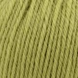 Universal Yarn-Deluxe Bulky Superwash-yarn-909 Lime Tree-gather here online