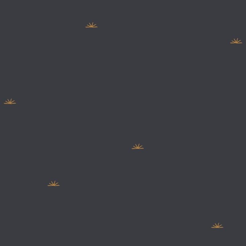 Atelier Brunette - Sunset Night on Cotton Crepe - - gatherhereonline.com