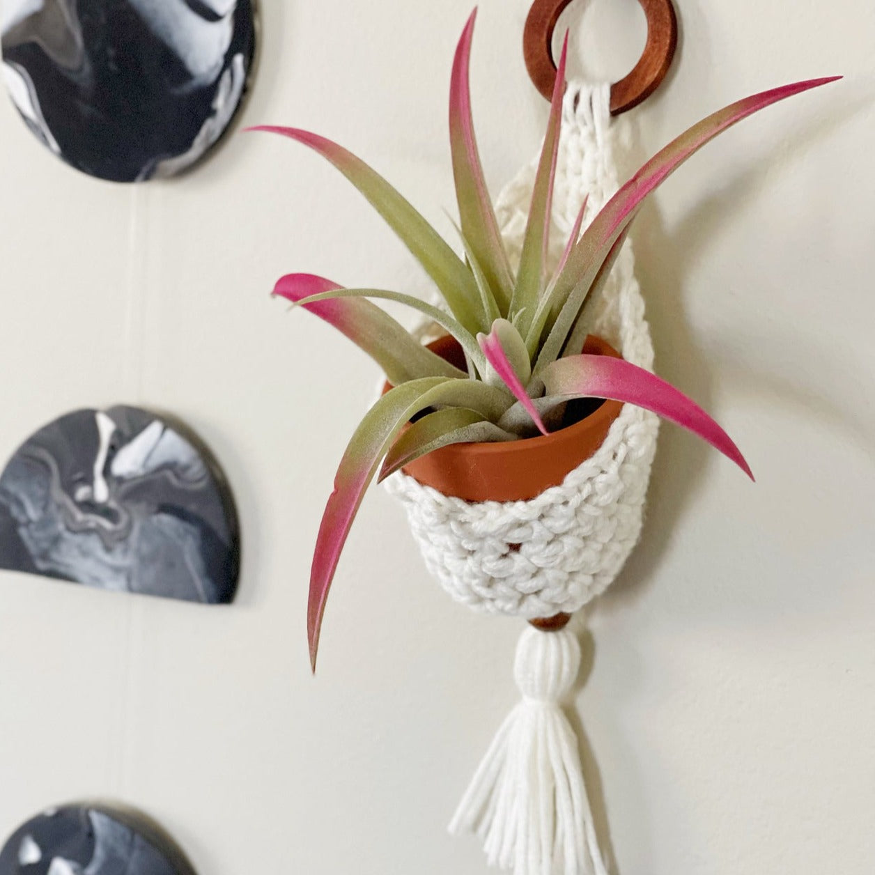 ceramic air plant hangers Crochet Air Plant Hanger – gather here online