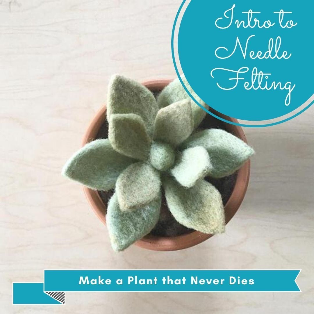 needle felted succulent Intro to Needle Felting – gather here online