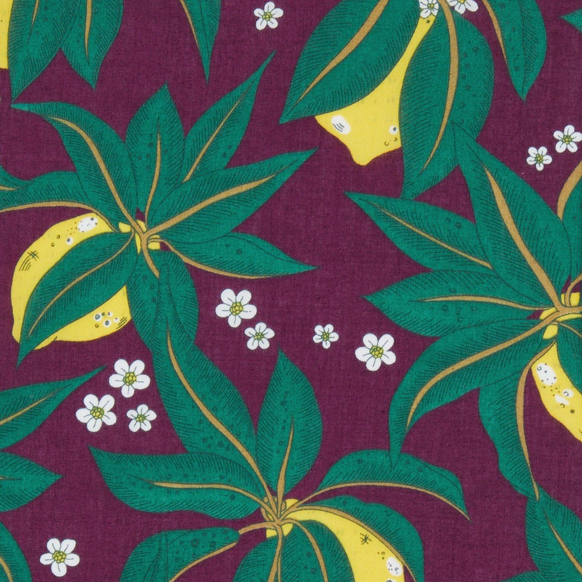 Liberty of London-Tana Lawn - Citron Presse-fabric-gather here online