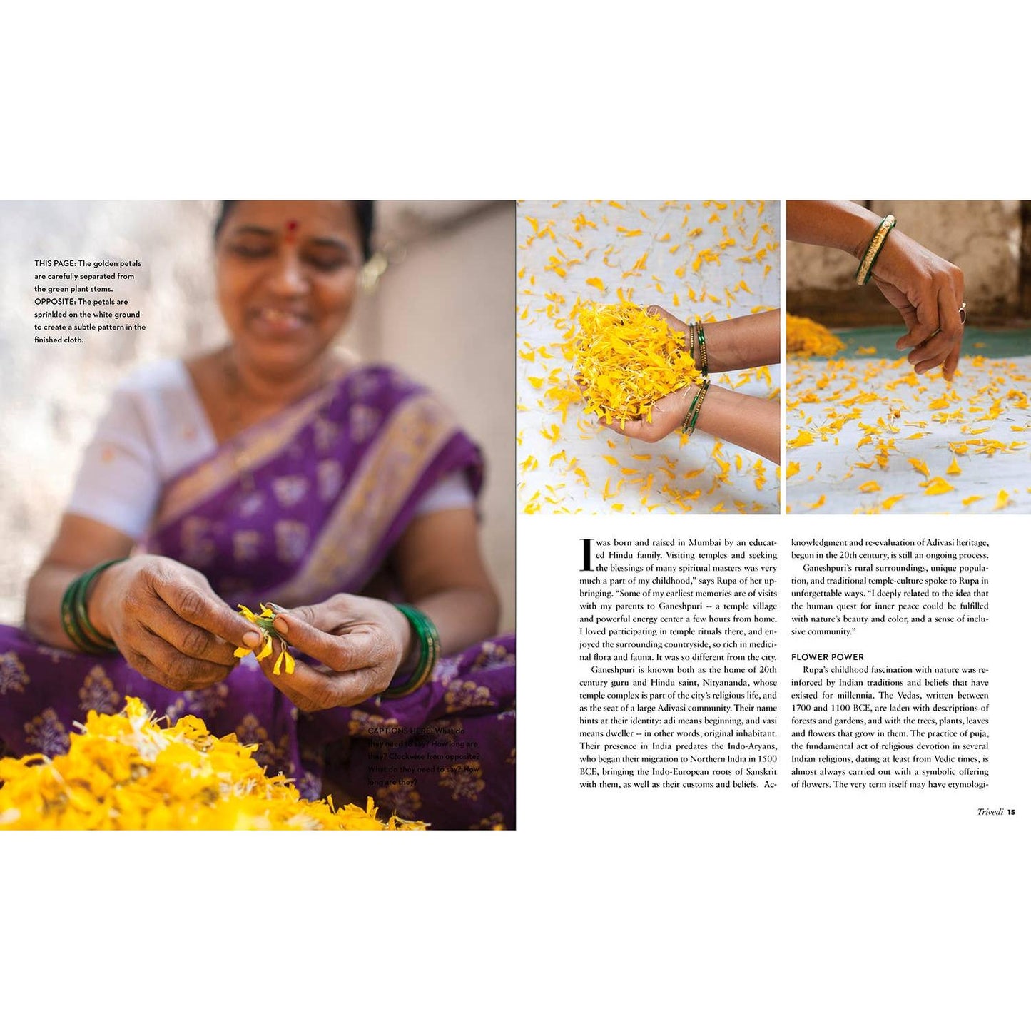 Schiffer Publishing-True Colors, 1st Edition-book-gather here online