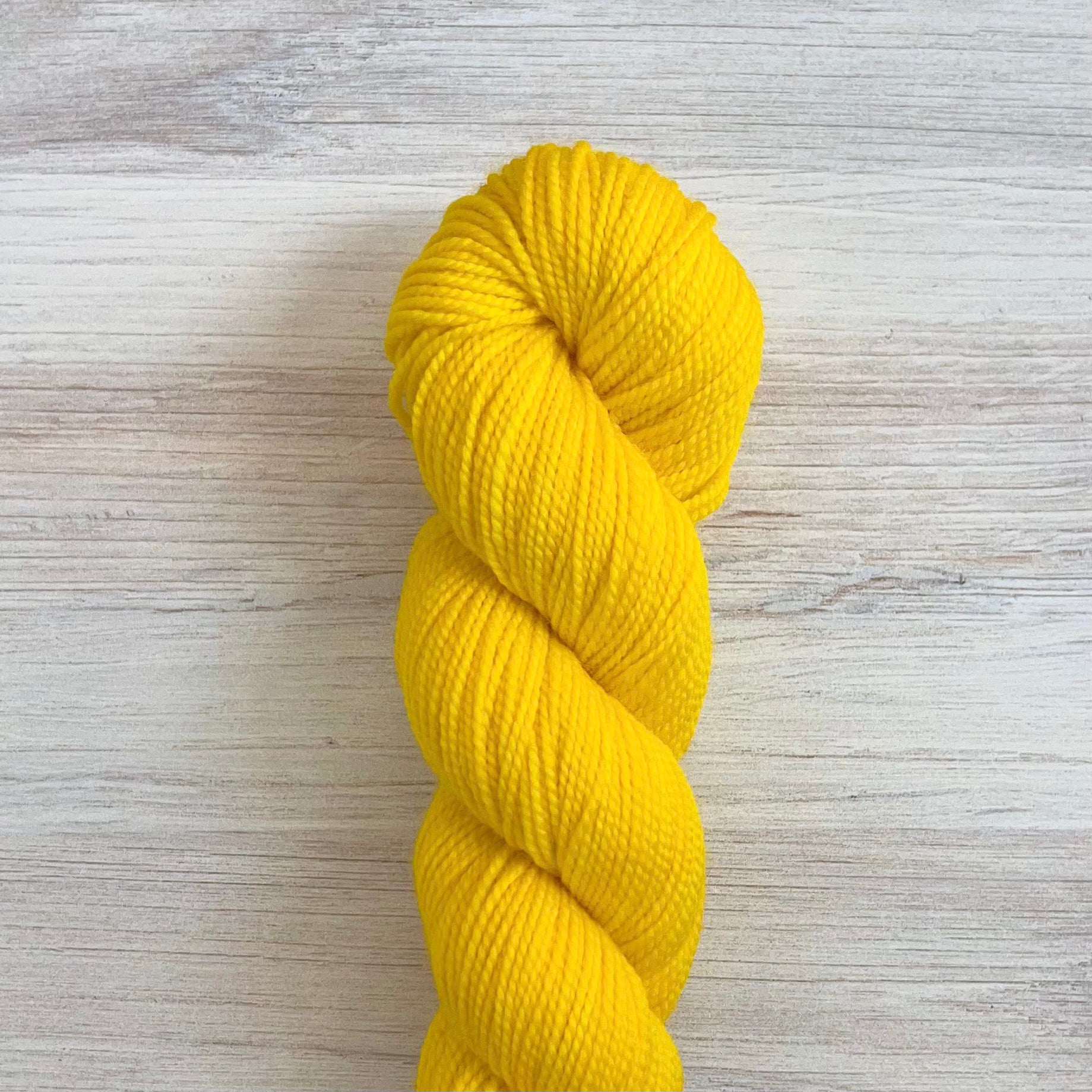 Koigu-KPM Fluorescent Solid-yarn-2100-gather here online