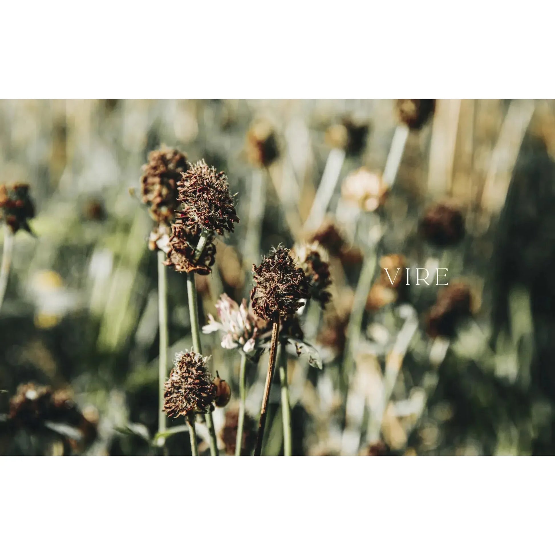 Cozy Publishing-Urban Knit Easy-book-gather here online