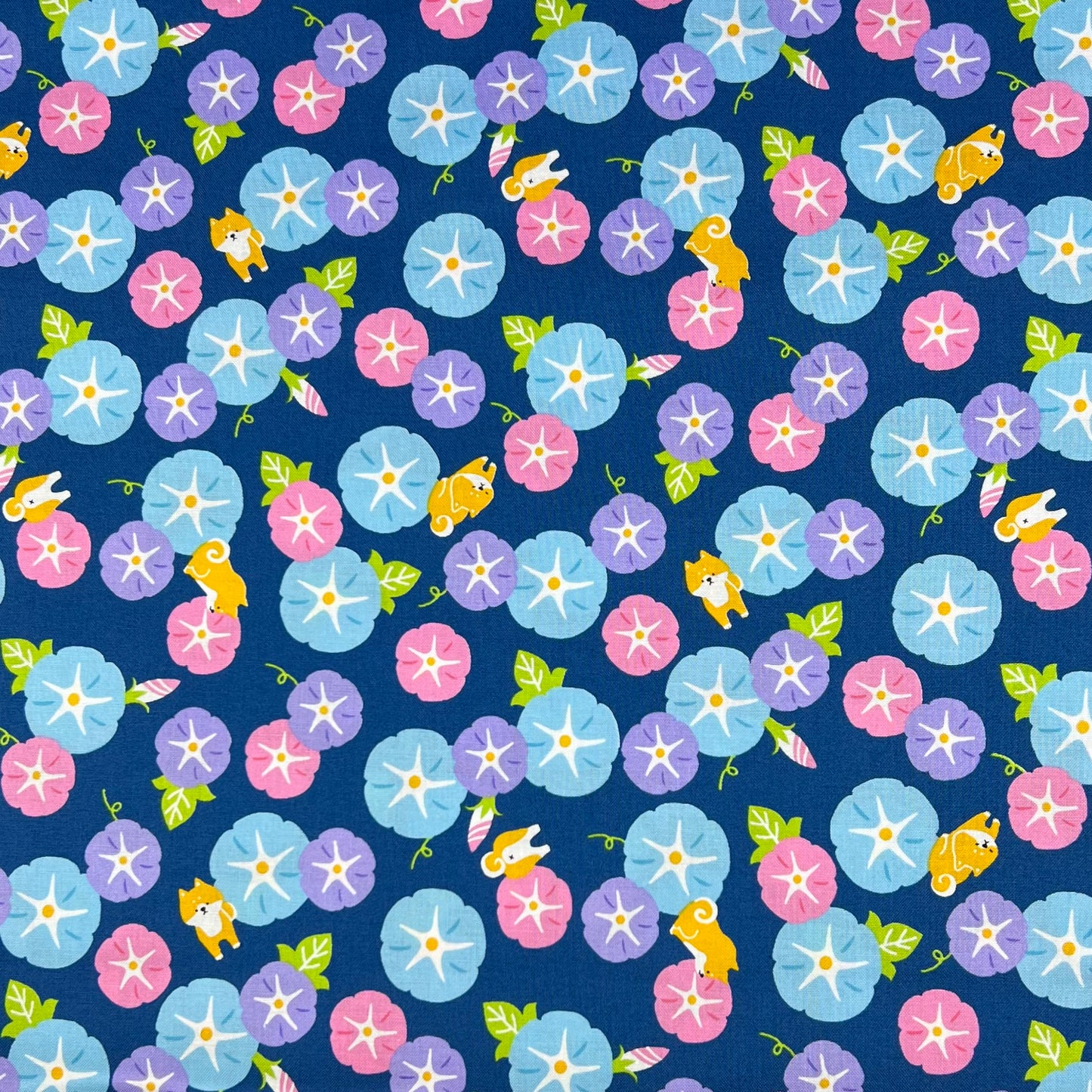 Cosmo-Shiba Hibiscus on Cotton Sheeting-fabric-gather here online