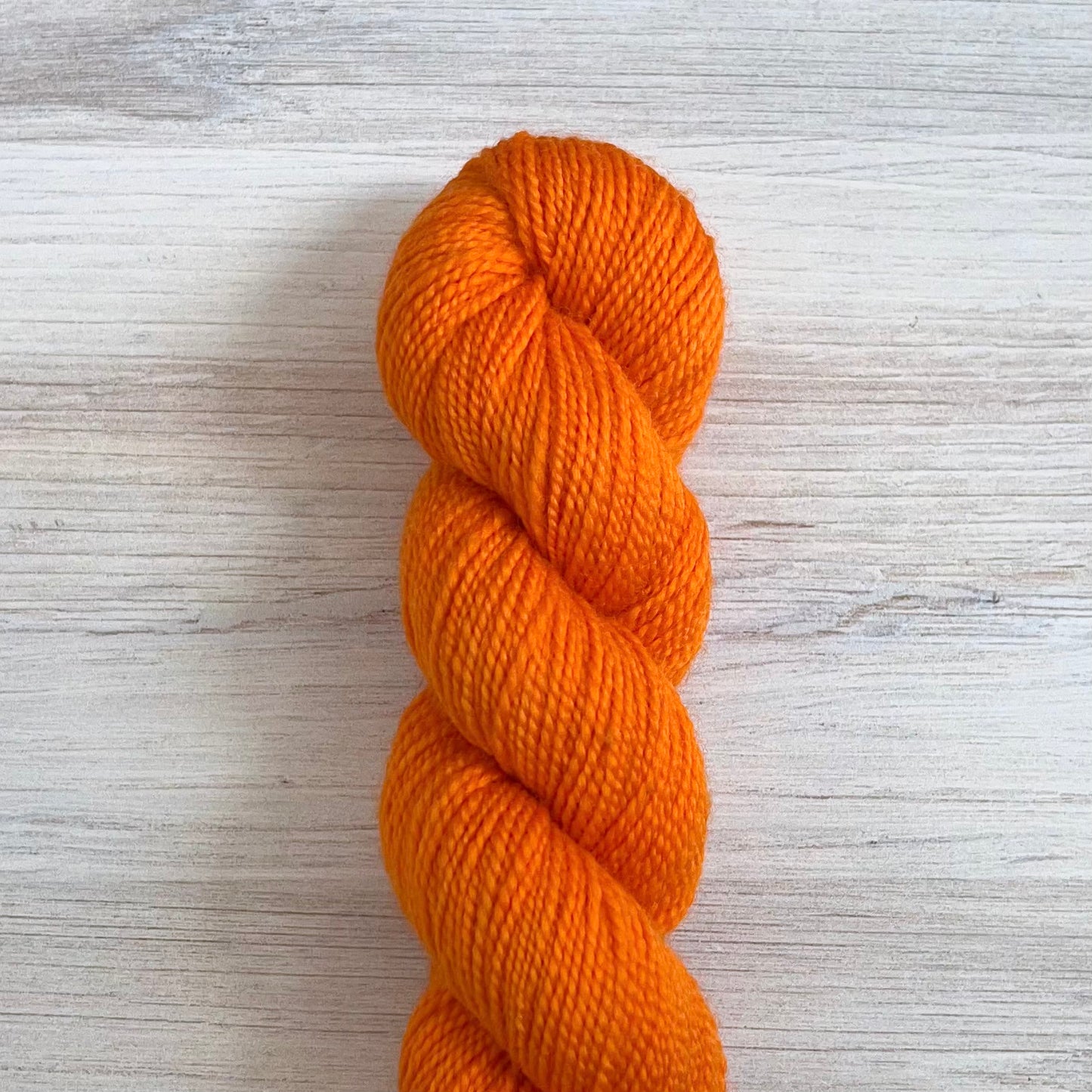 Koigu-KPM Fluorescent Solid-yarn-1260-gather here online