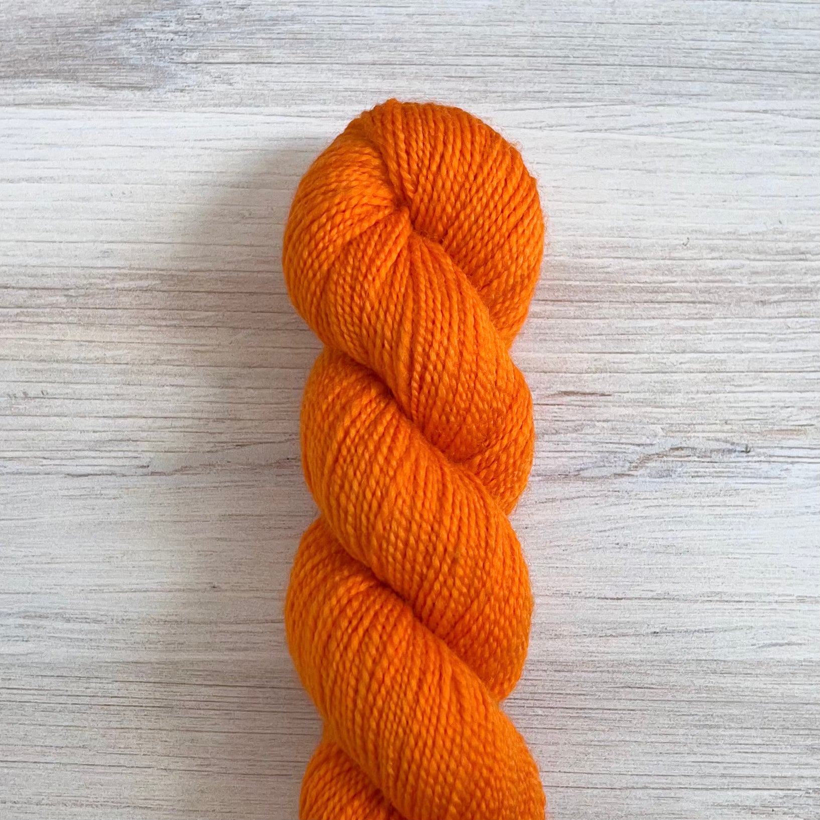 Koigu-KPM Fluorescent Solid-yarn-1260-gather here online