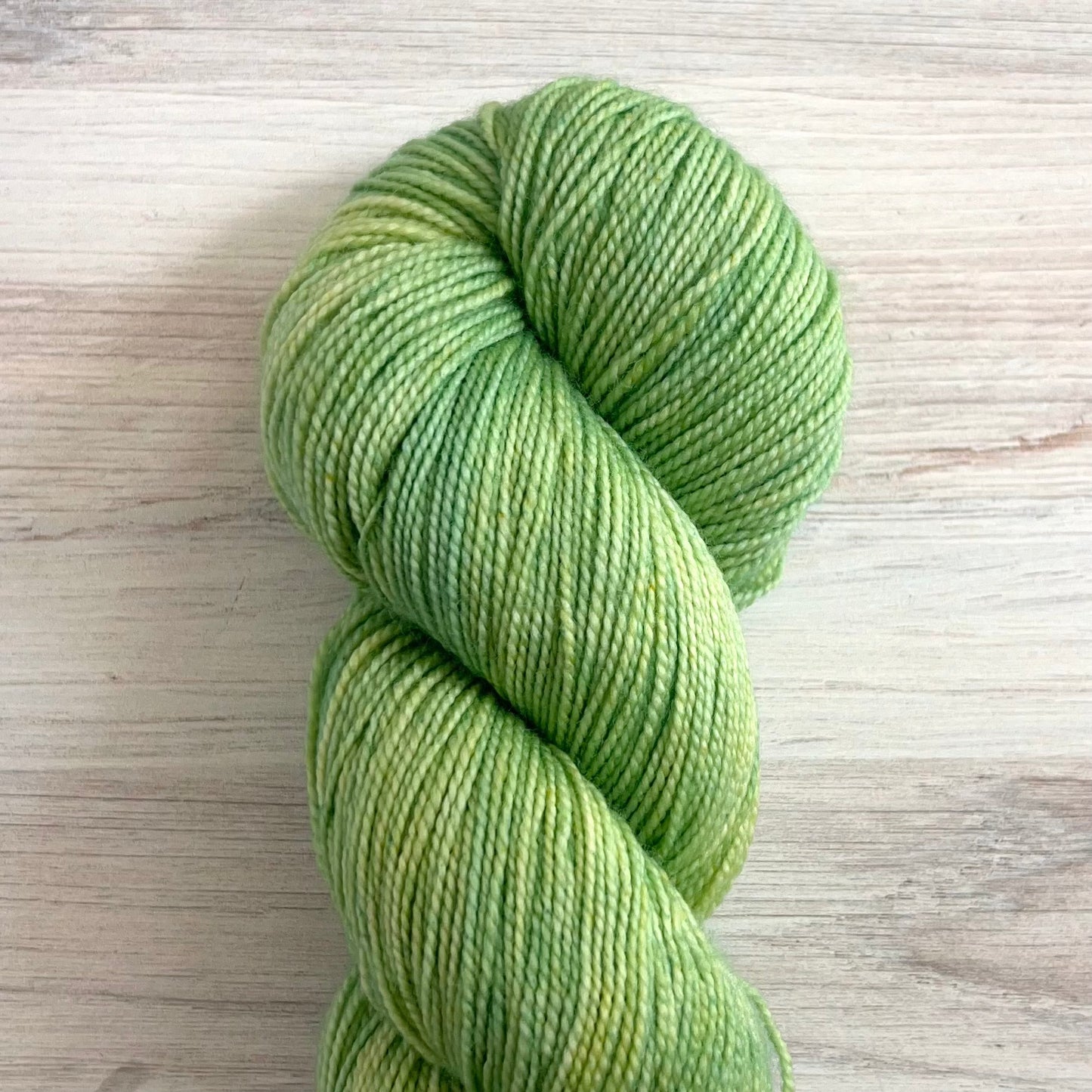 Dirtywater Dyeworks-Lillian-yarn-201 Minty Mix-gather here online