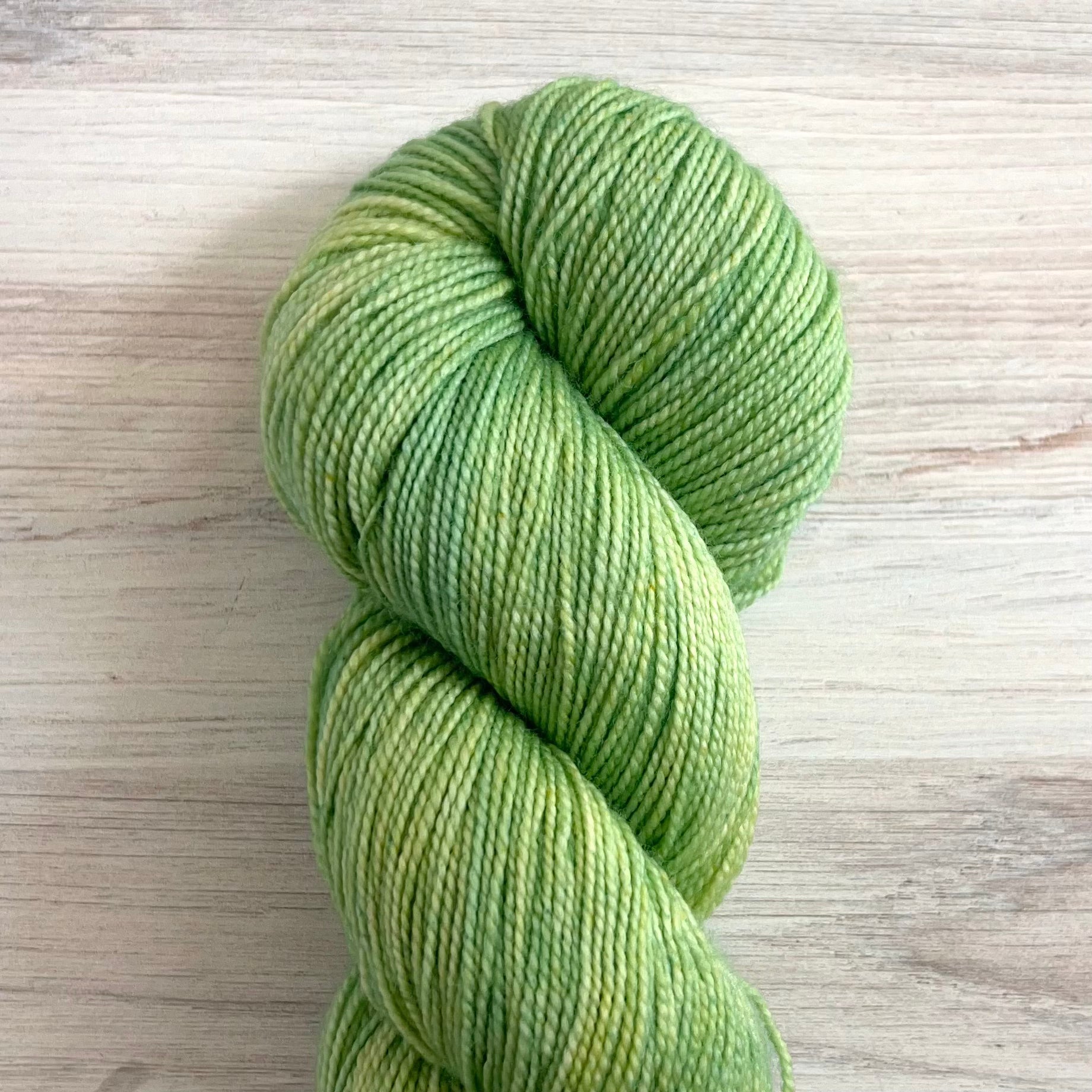 Dirtywater Dyeworks-Lillian-yarn-201 Minty Mix-gather here online
