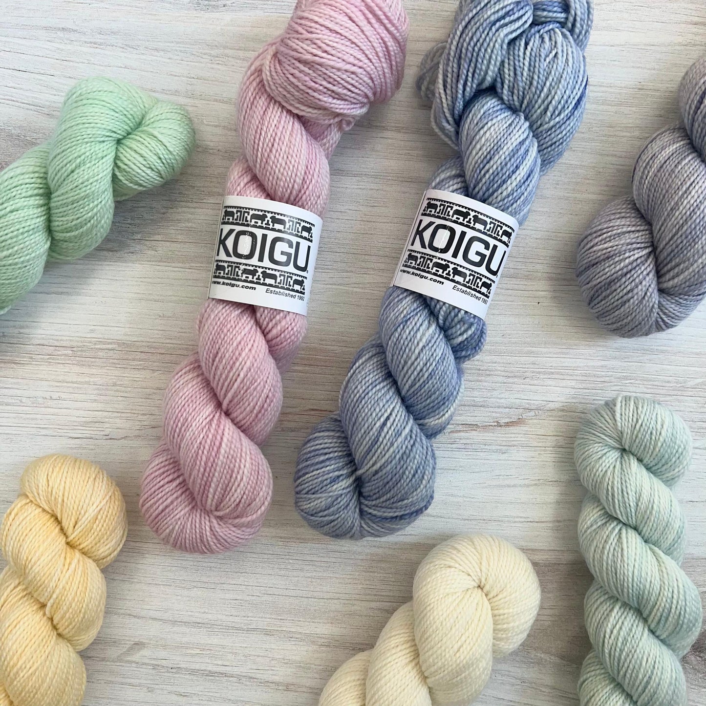 Koigu-KPM Off-White Pastel Solid-yarn-gather here online