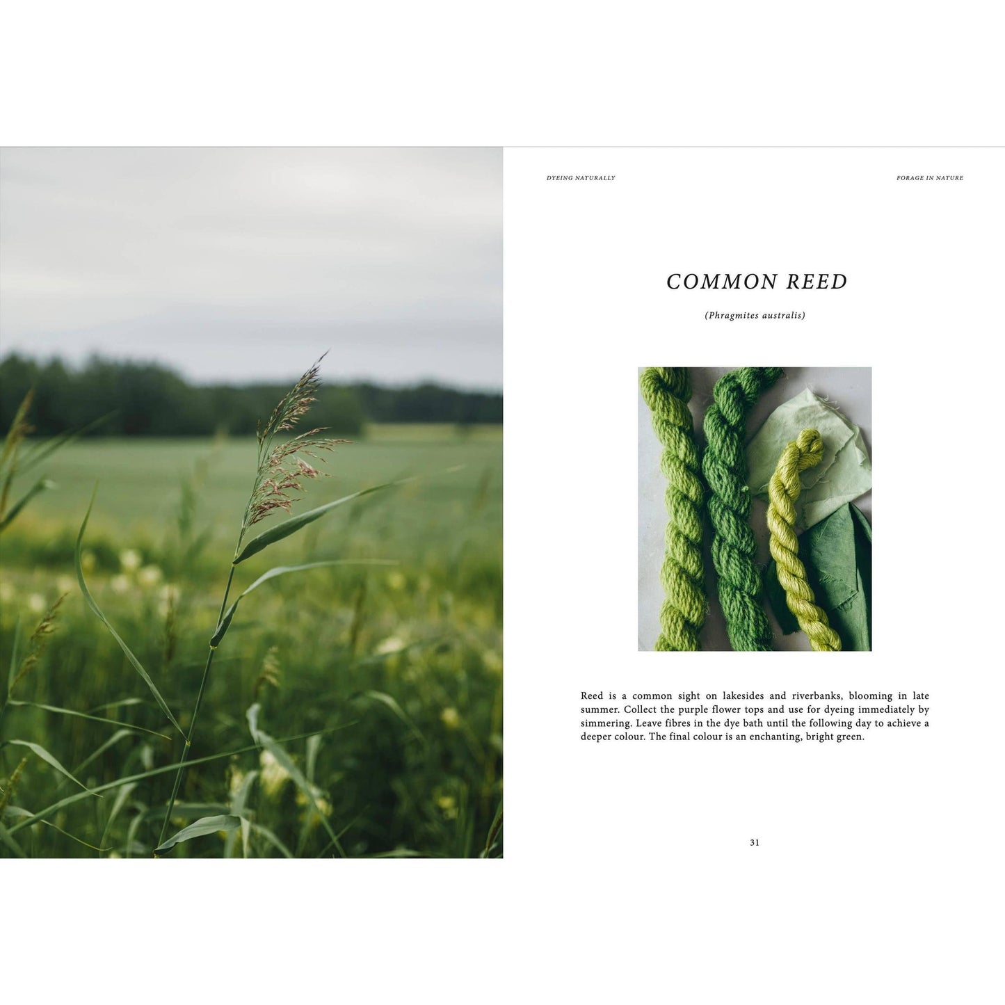 Cozy Publishing-Crafts & Knitting: Dyeing Naturally-book-gather here online