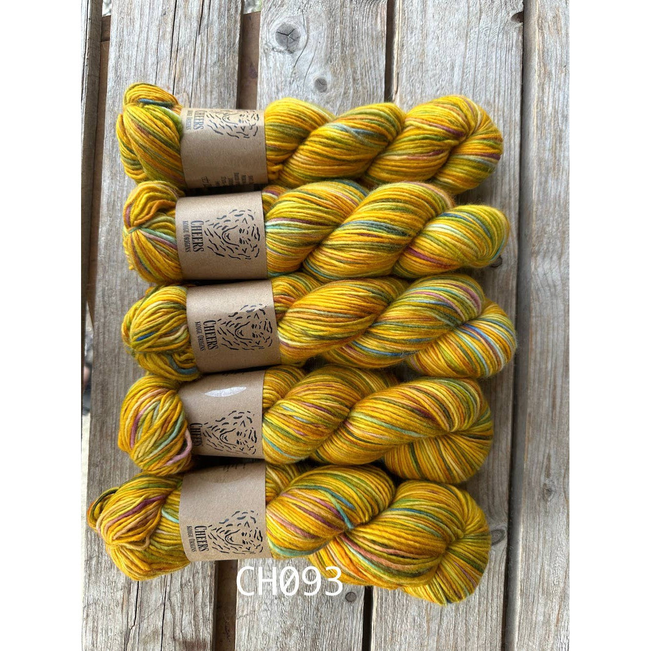 Koigu Wool Designs-Cheers worsted-CH093-gather here online