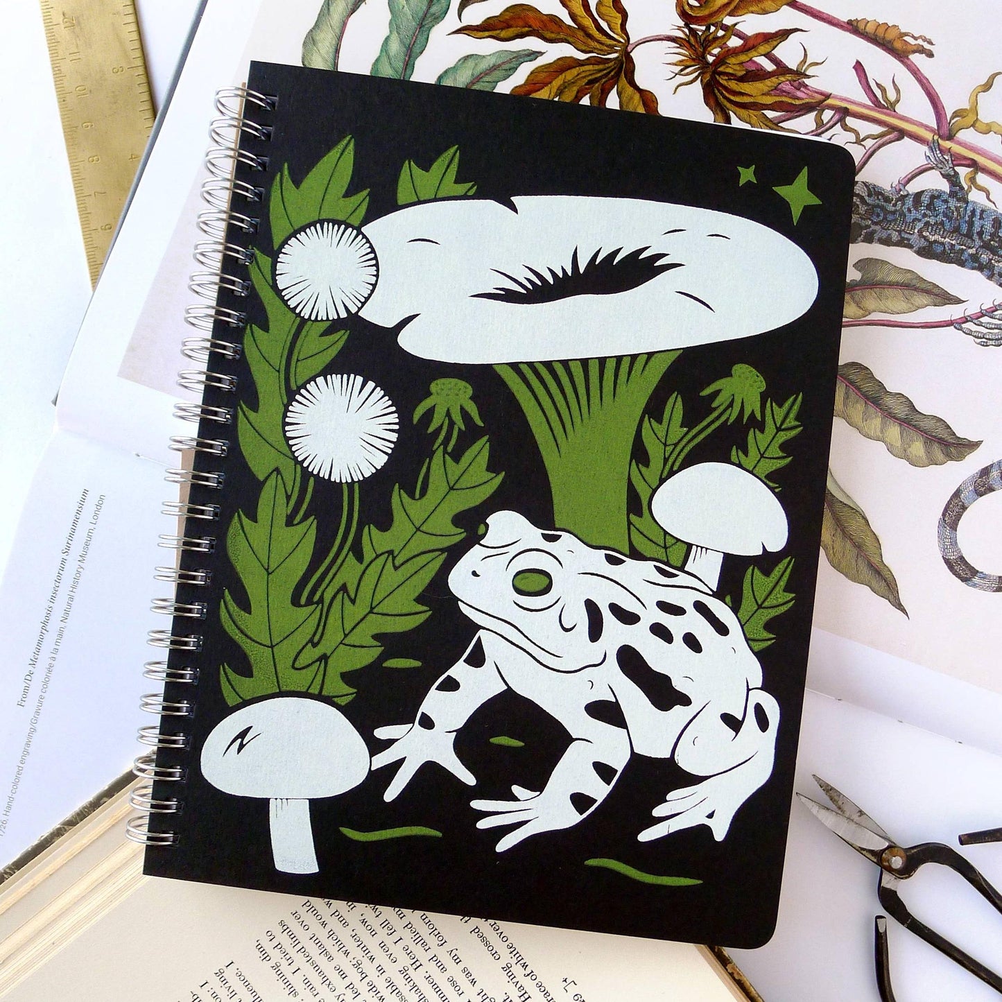 Middle Dune-Large Blank Toad Coil Notebook-journals-gather here online