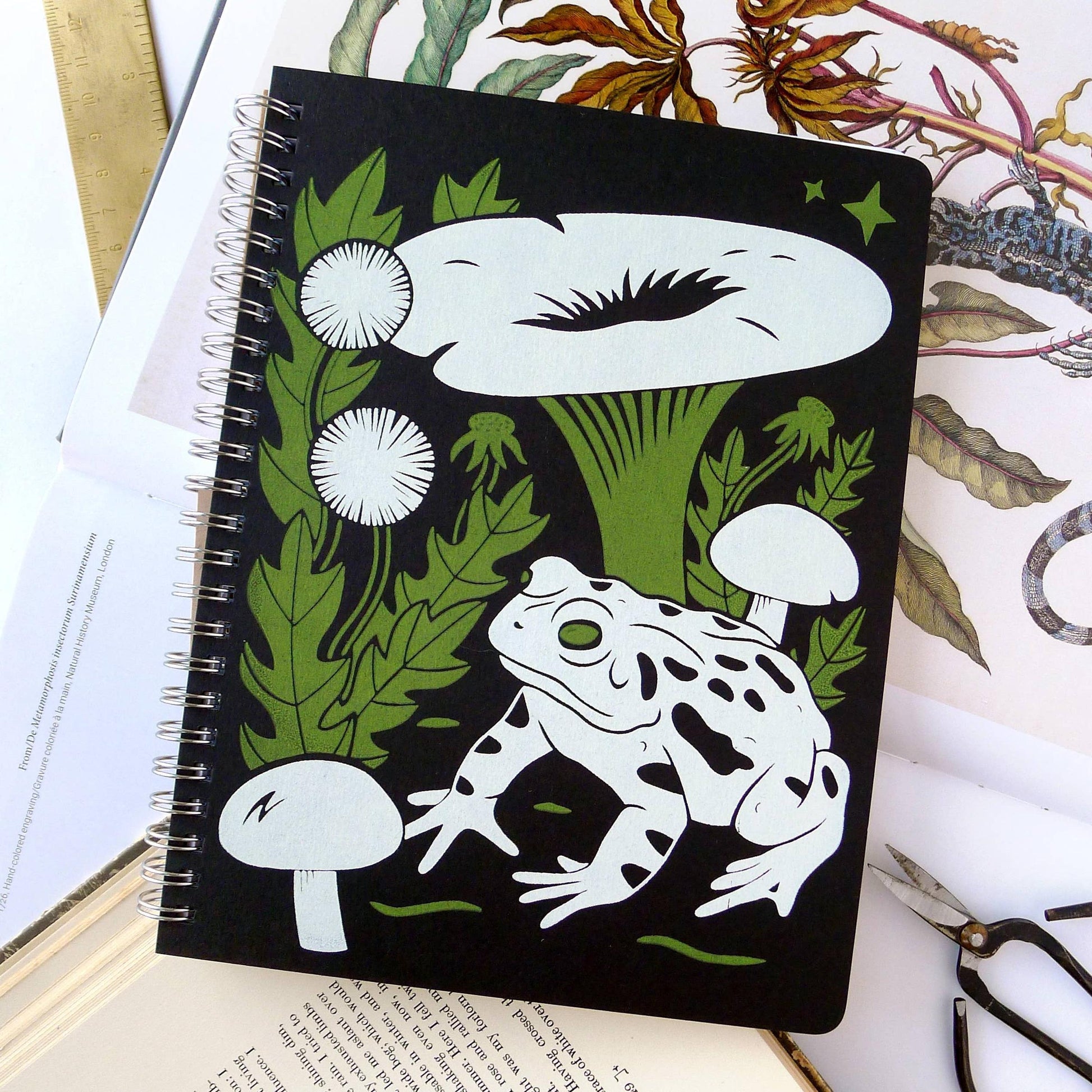 Middle Dune-Large Blank Toad Coil Notebook-journals-gather here online