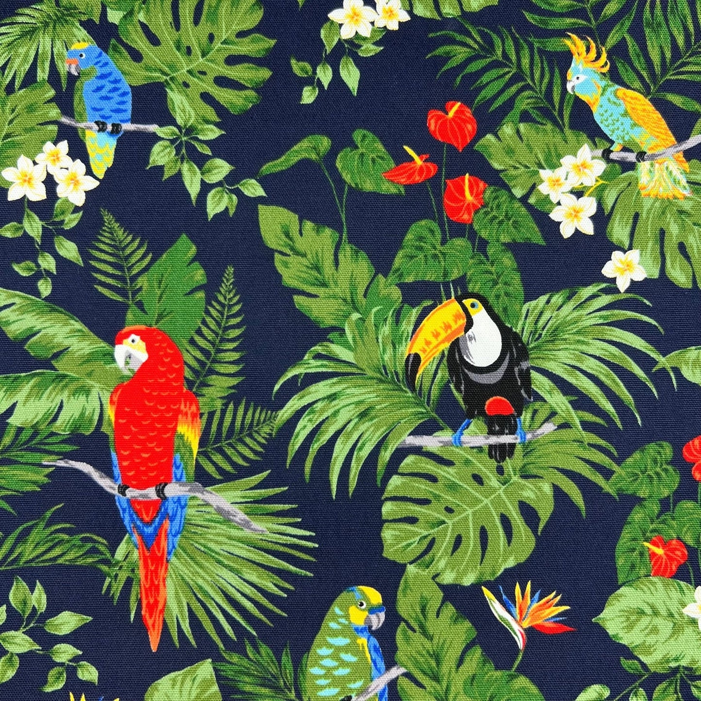 Cosmo-Tropical Parrots on Cotton Oxford-fabric-gather here online