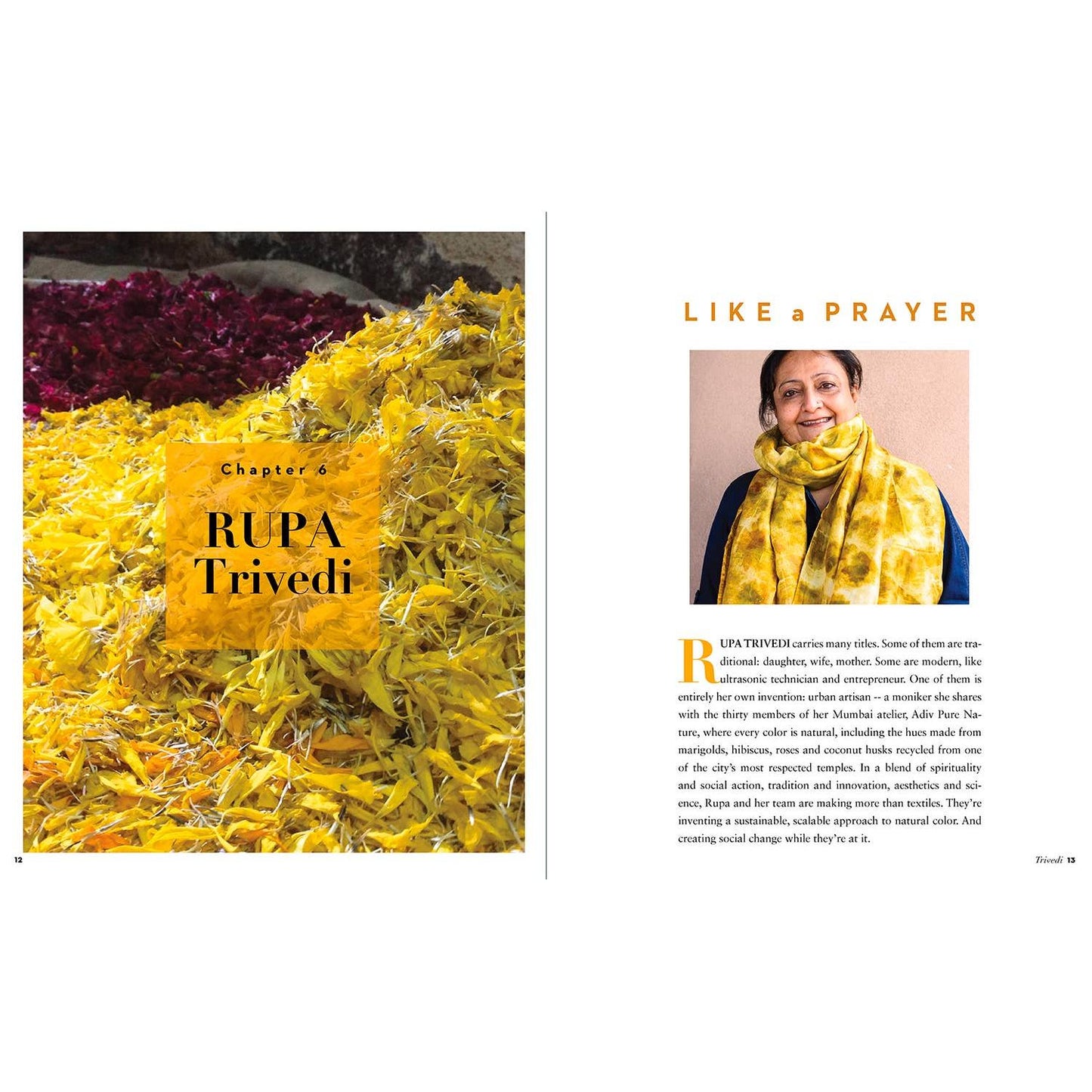 Schiffer Publishing-True Colors, 2nd Edition-book-gather here online