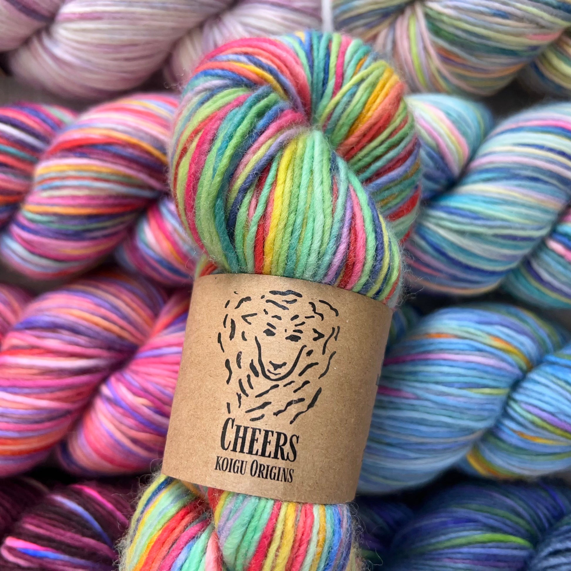 Koigu Origins-Cheers-yarn-gather here online