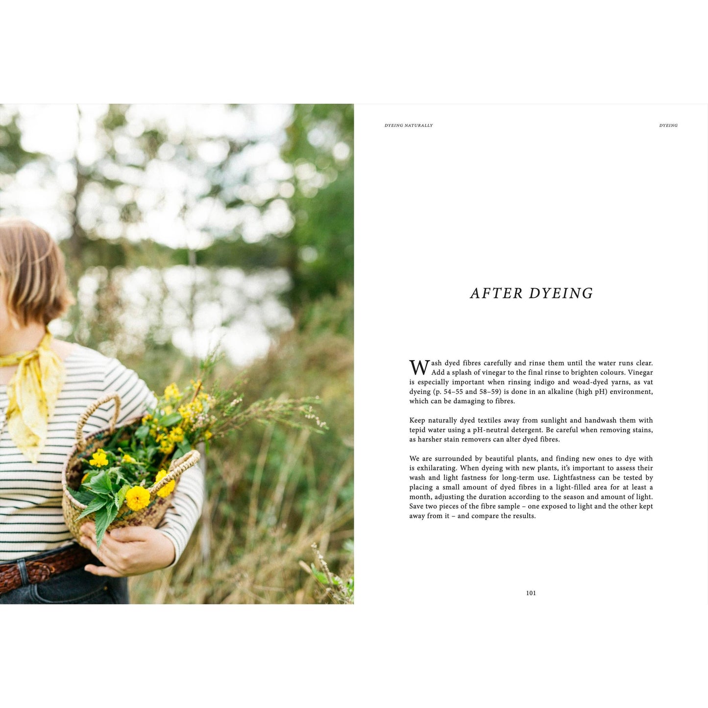 Cozy Publishing-Crafts & Knitting: Dyeing Naturally-book-gather here online