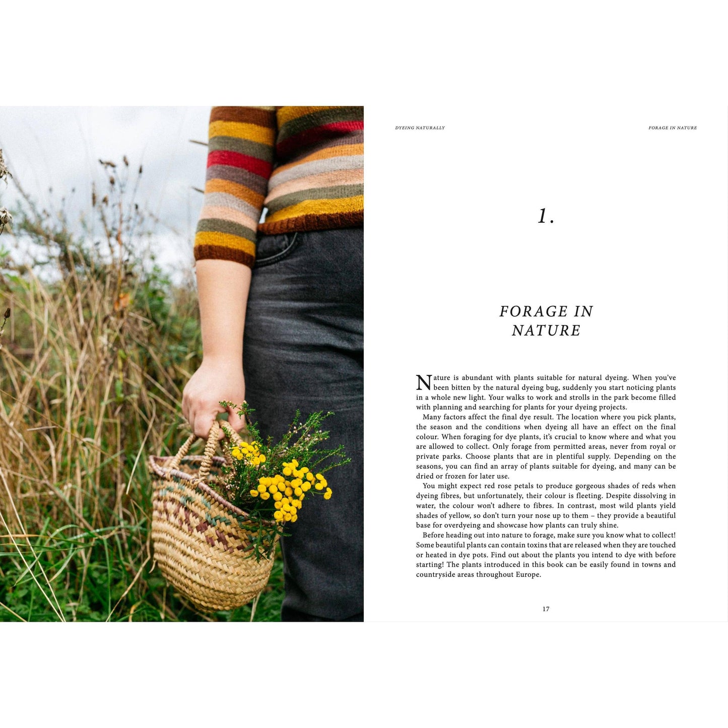 Cozy Publishing-Crafts & Knitting: Dyeing Naturally-book-gather here online