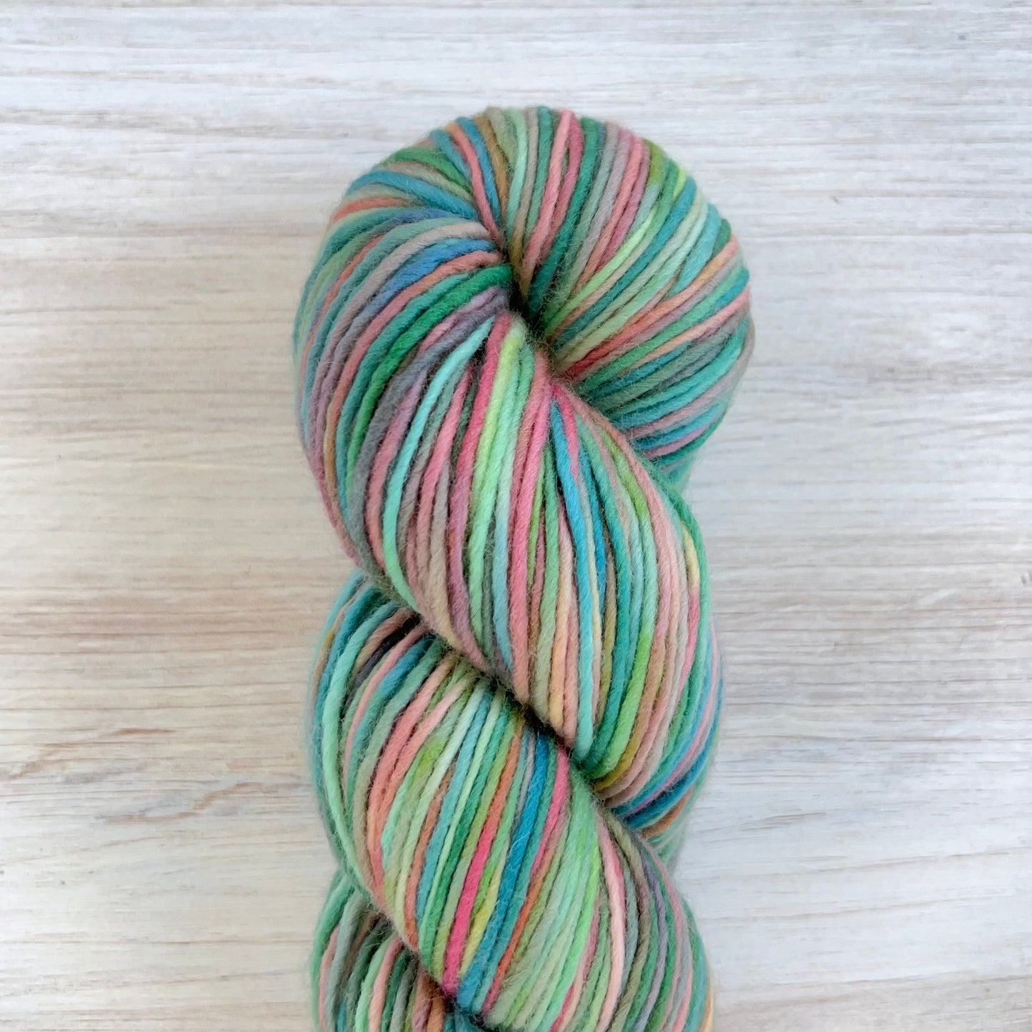 Koigu Origins-Cheers-yarn-CH162-gather here online