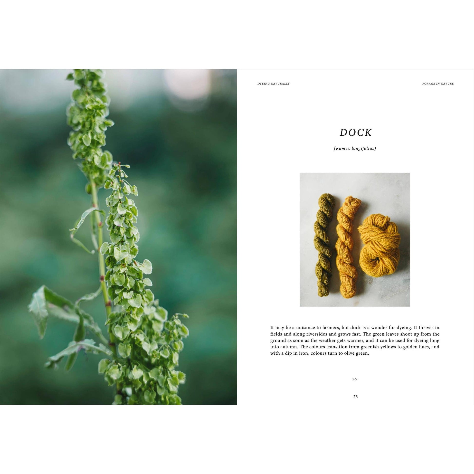 Cozy Publishing-Crafts & Knitting: Dyeing Naturally-book-gather here online