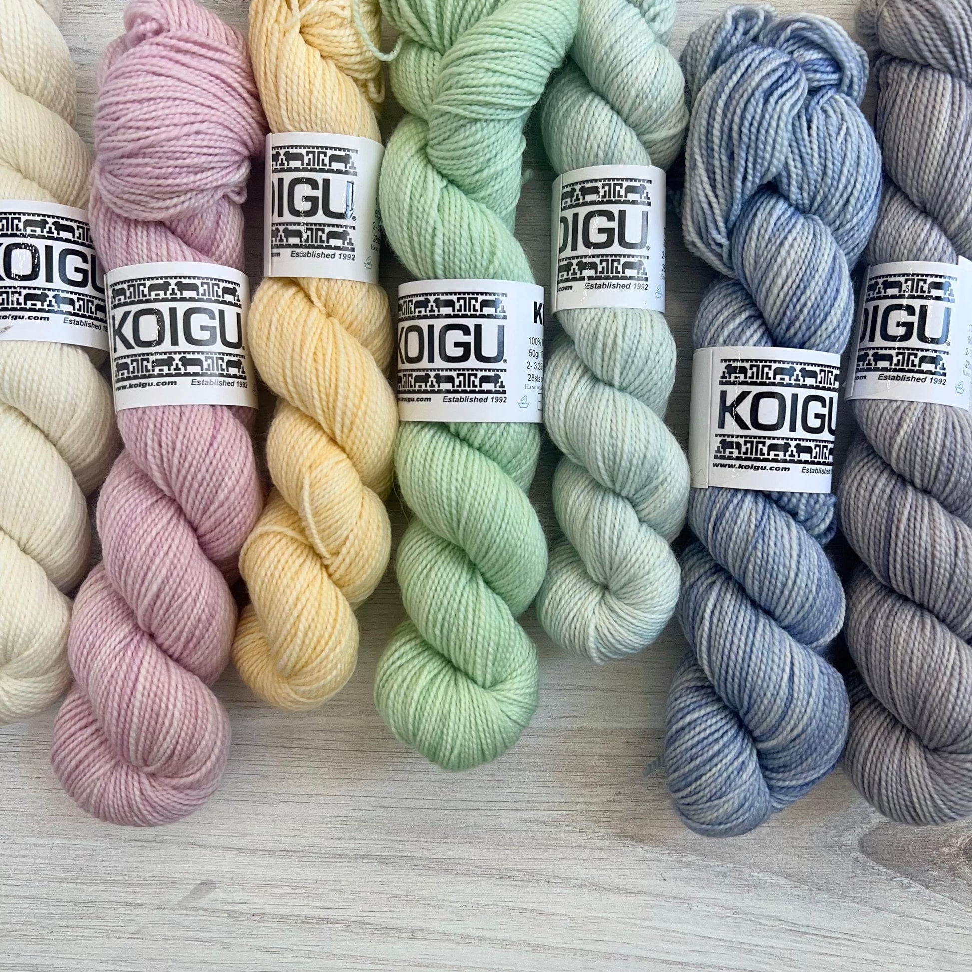 Koigu-KPM Off-White Pastel Solid-yarn-gather here online