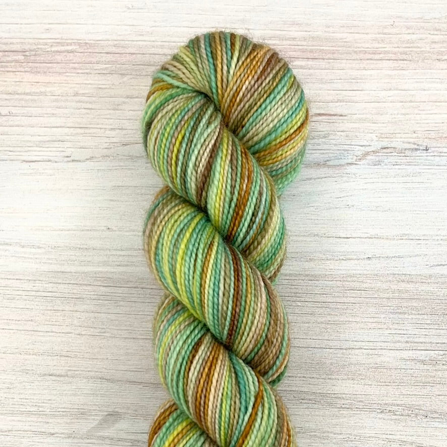 Koigu-Koigu Road Trip Color Series - 2026 KPPPM-yarn-Old Spruce-gather here online