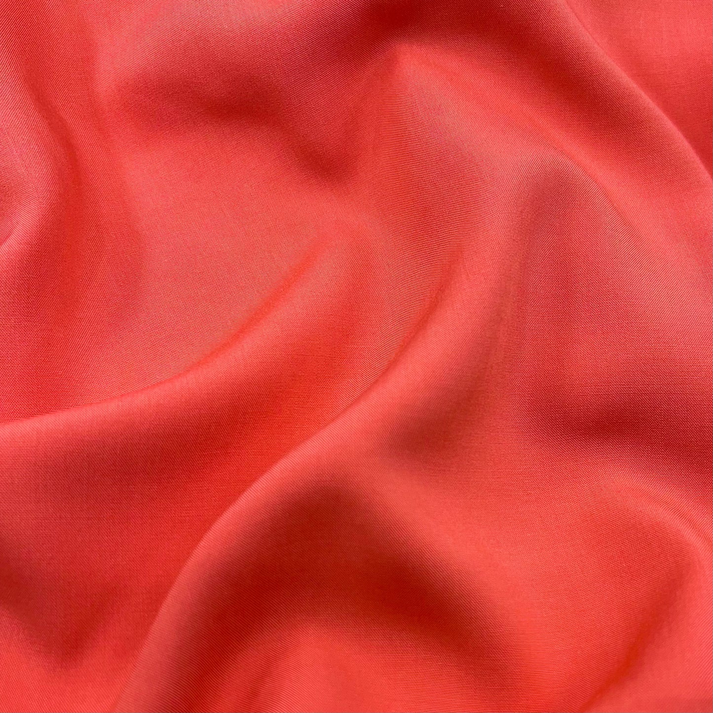 Shelly Challis - Coral