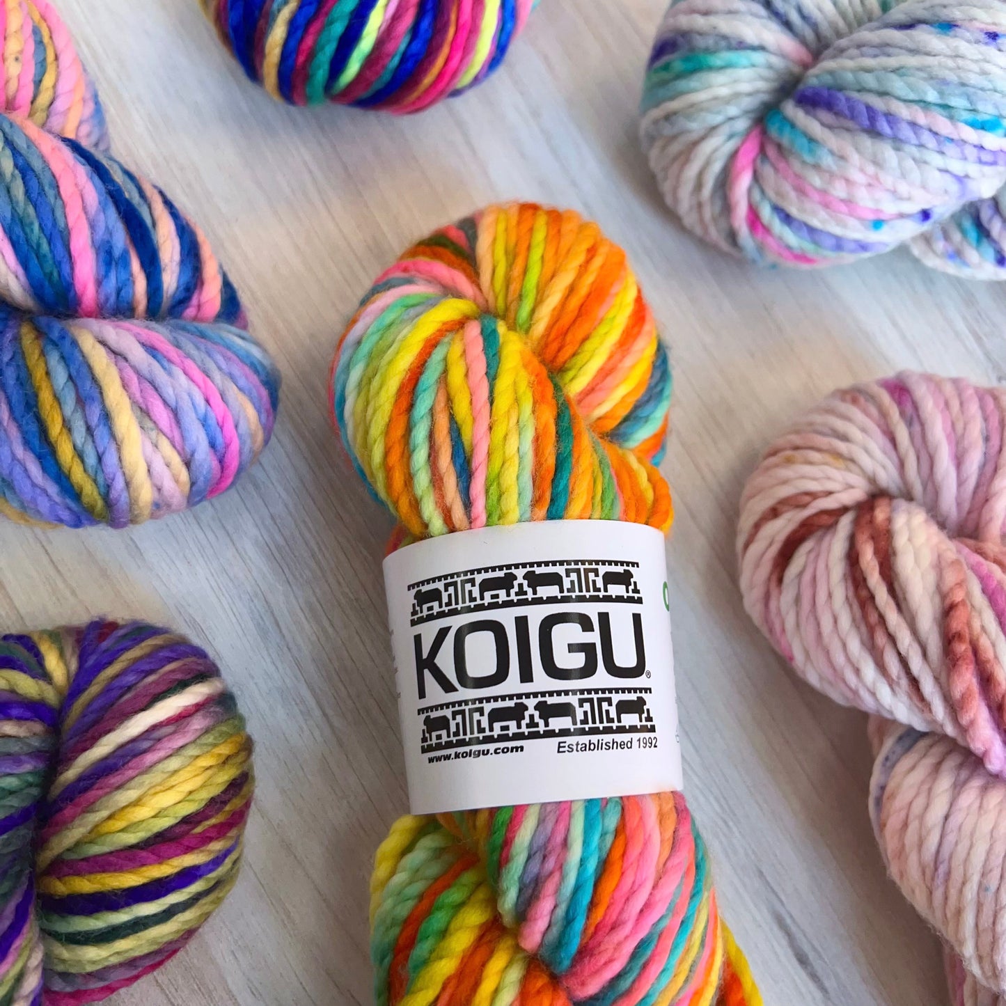 Koigu-Othello Merino-yarn-gather here online