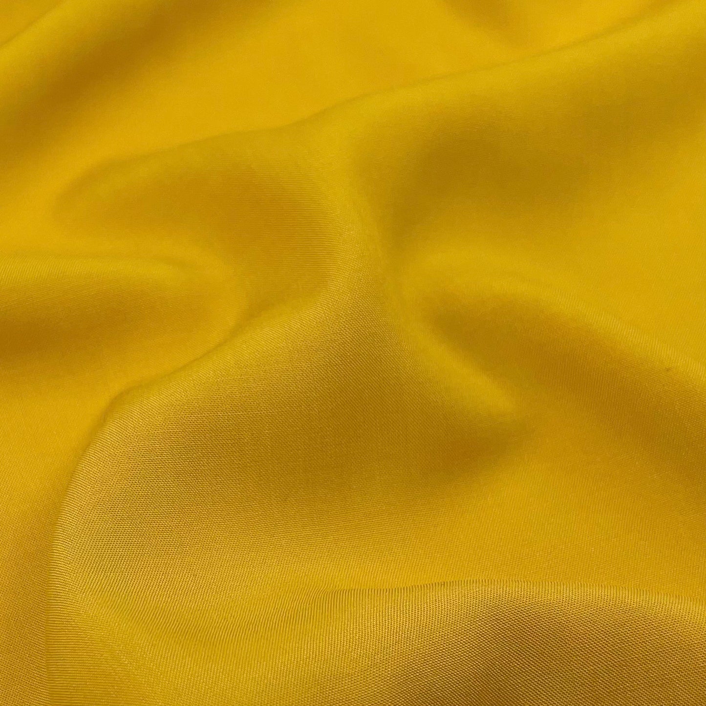 Shelly Challis - Ochre Mustard