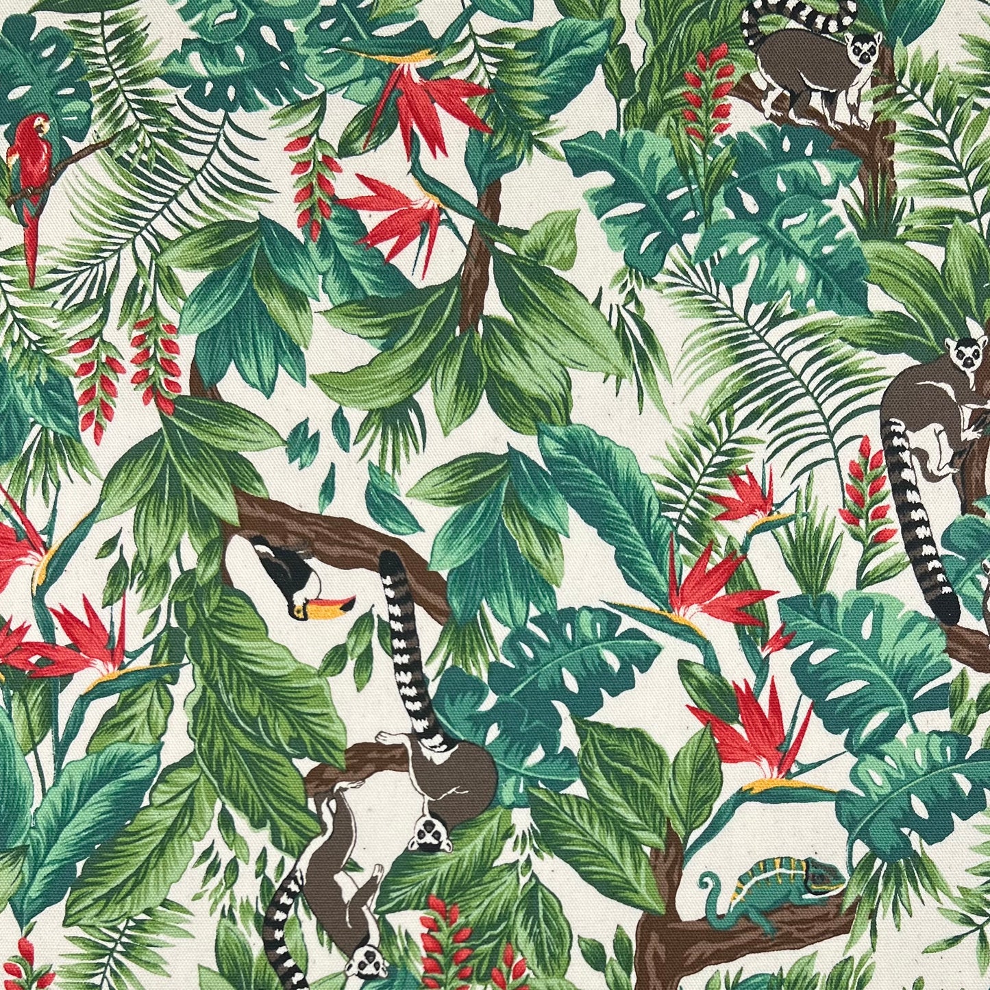 Cosmo-Tropical Lemurs on Cotton Oxford-fabric-gather here online