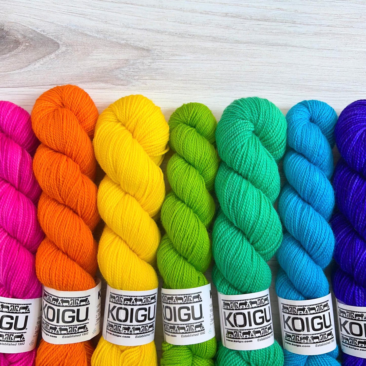 Koigu-KPM Fluorescent Solid-yarn-gather here online