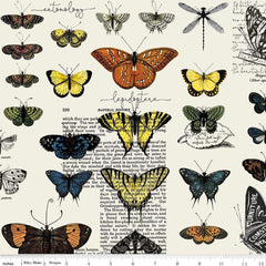 Riley Blake Designs-Butterflies Lt. Gray-fabric-gather here online