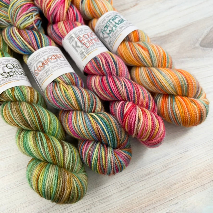 Koigu-Koigu Road Trip Color Series - 2026 KPPPM-yarn-gather here online
